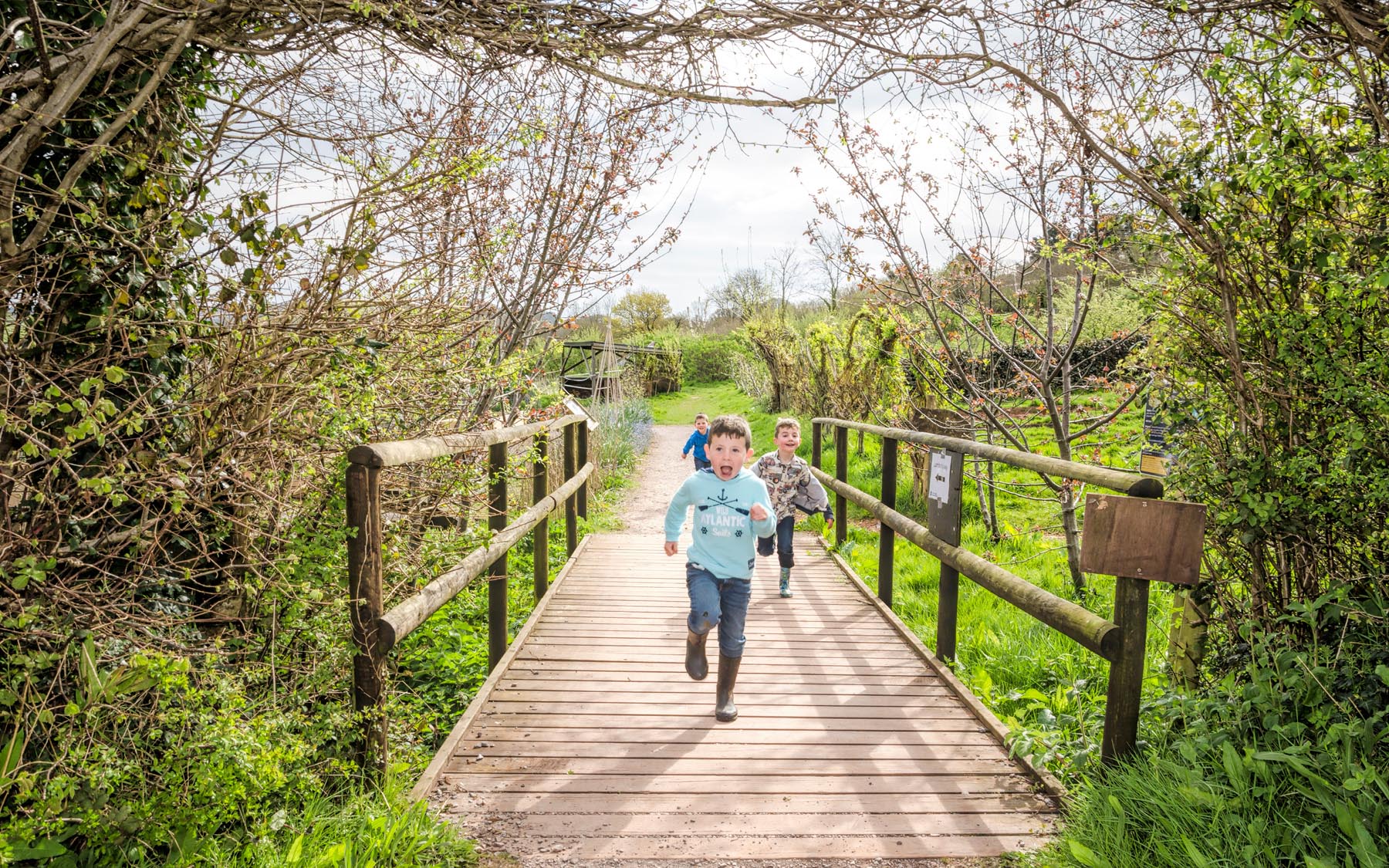 Occombe Farm trails