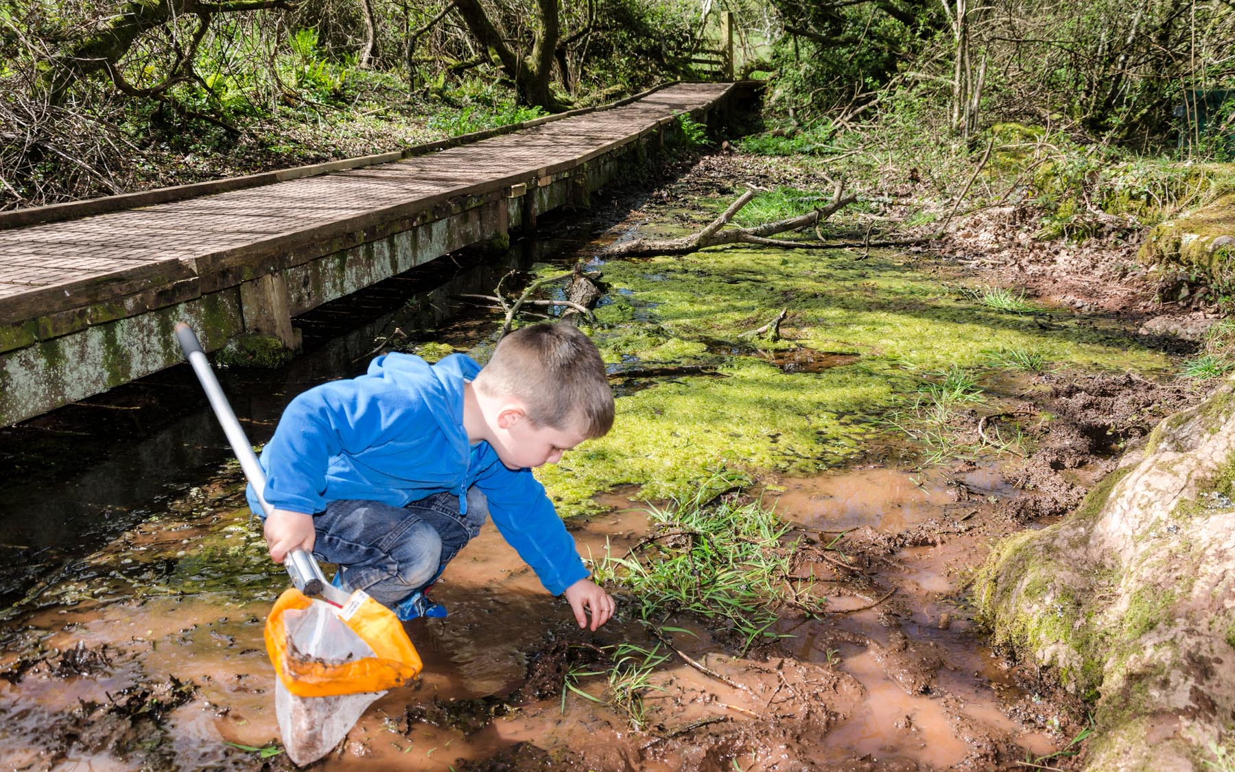 Occombe Farm boy investigating