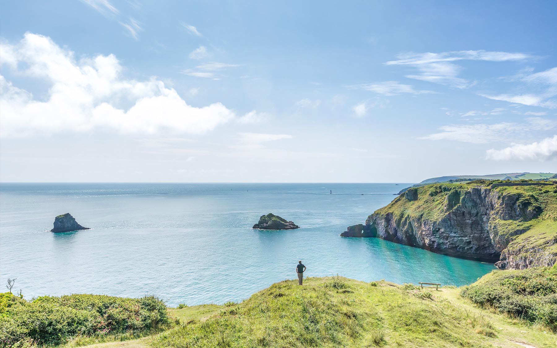 Berry Head View