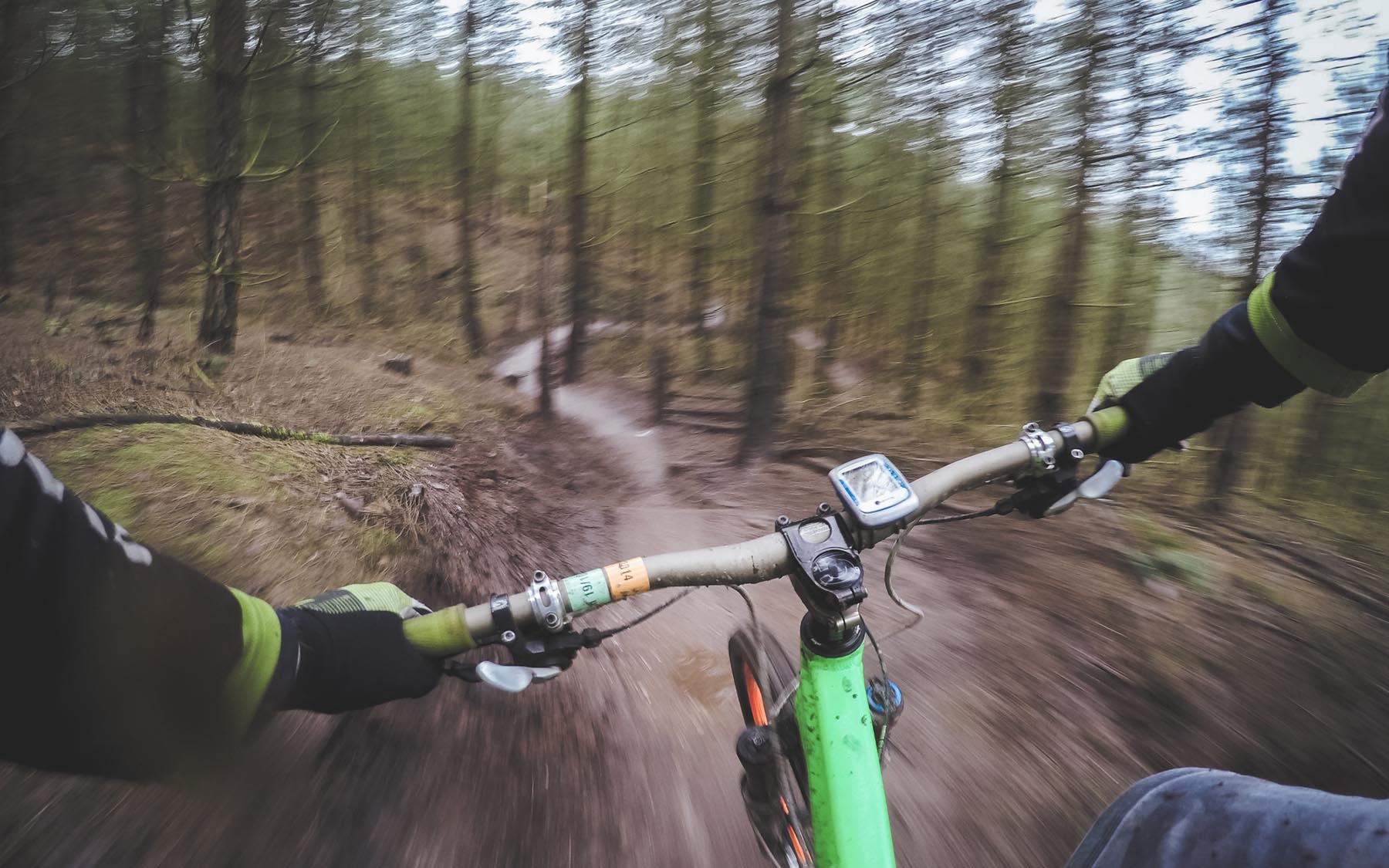 Mountain biking through woods