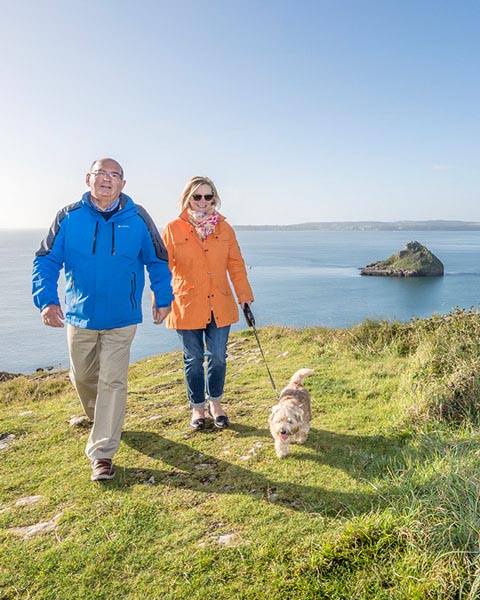 Berry Head dog walking