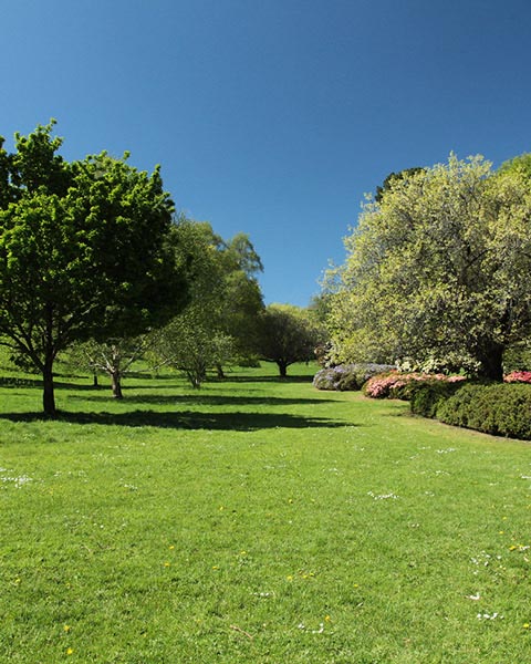 Cockington garden view