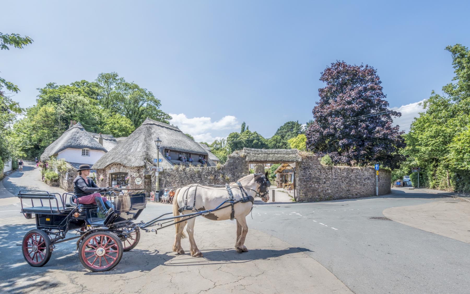 Cockington horse and carriage