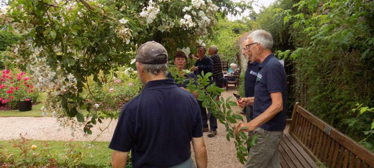 Cockington Rose Garden volunteers