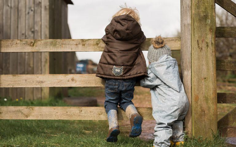 Toddlers at Occombe Farm