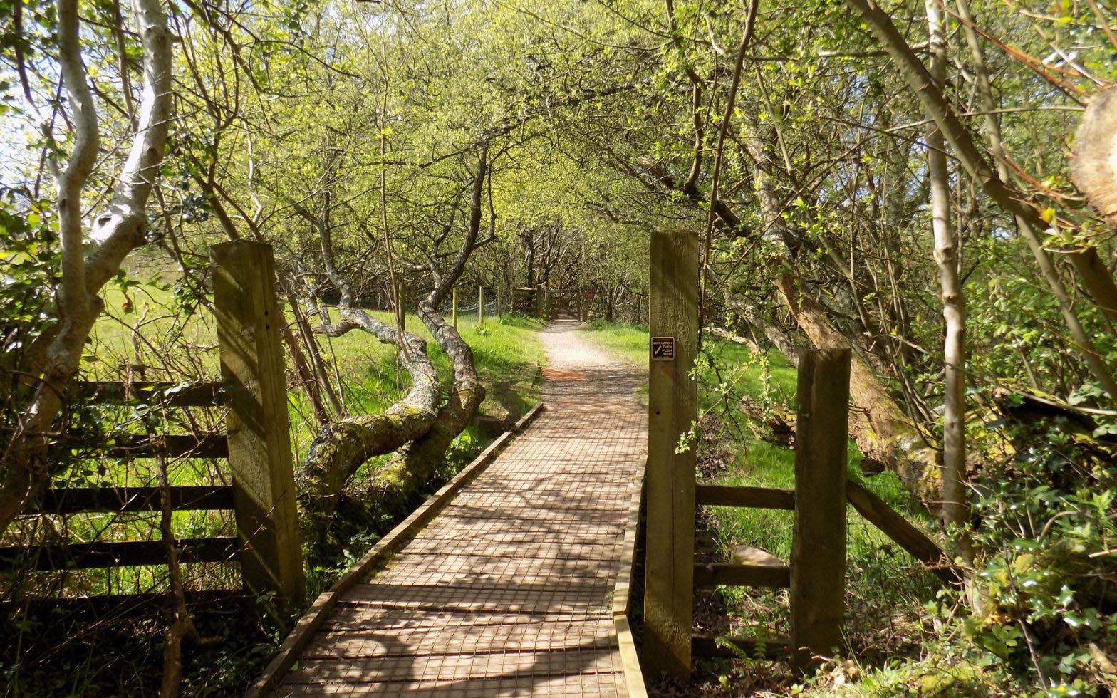 Occombe Farm trails