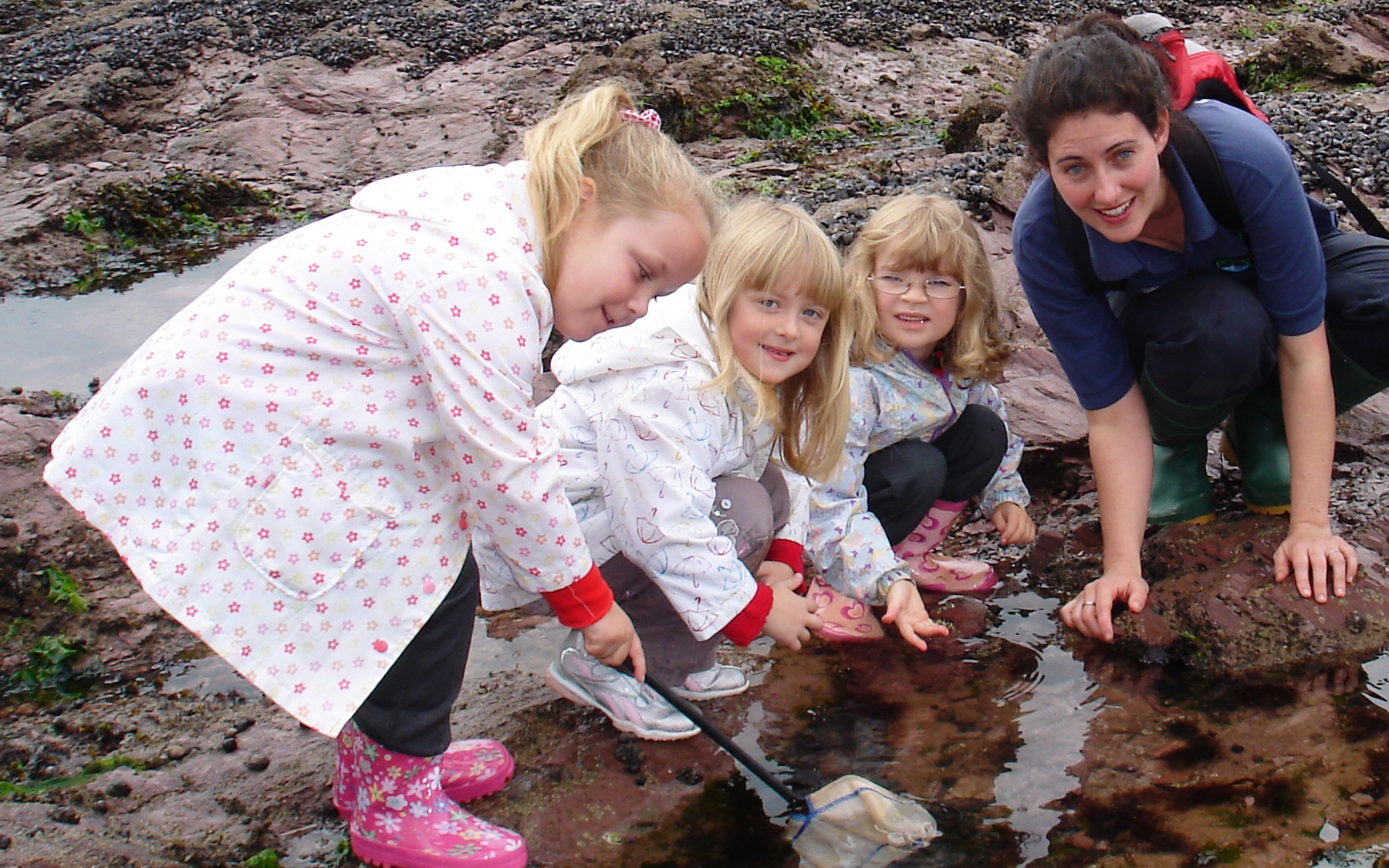 Rockpooling at Paignton