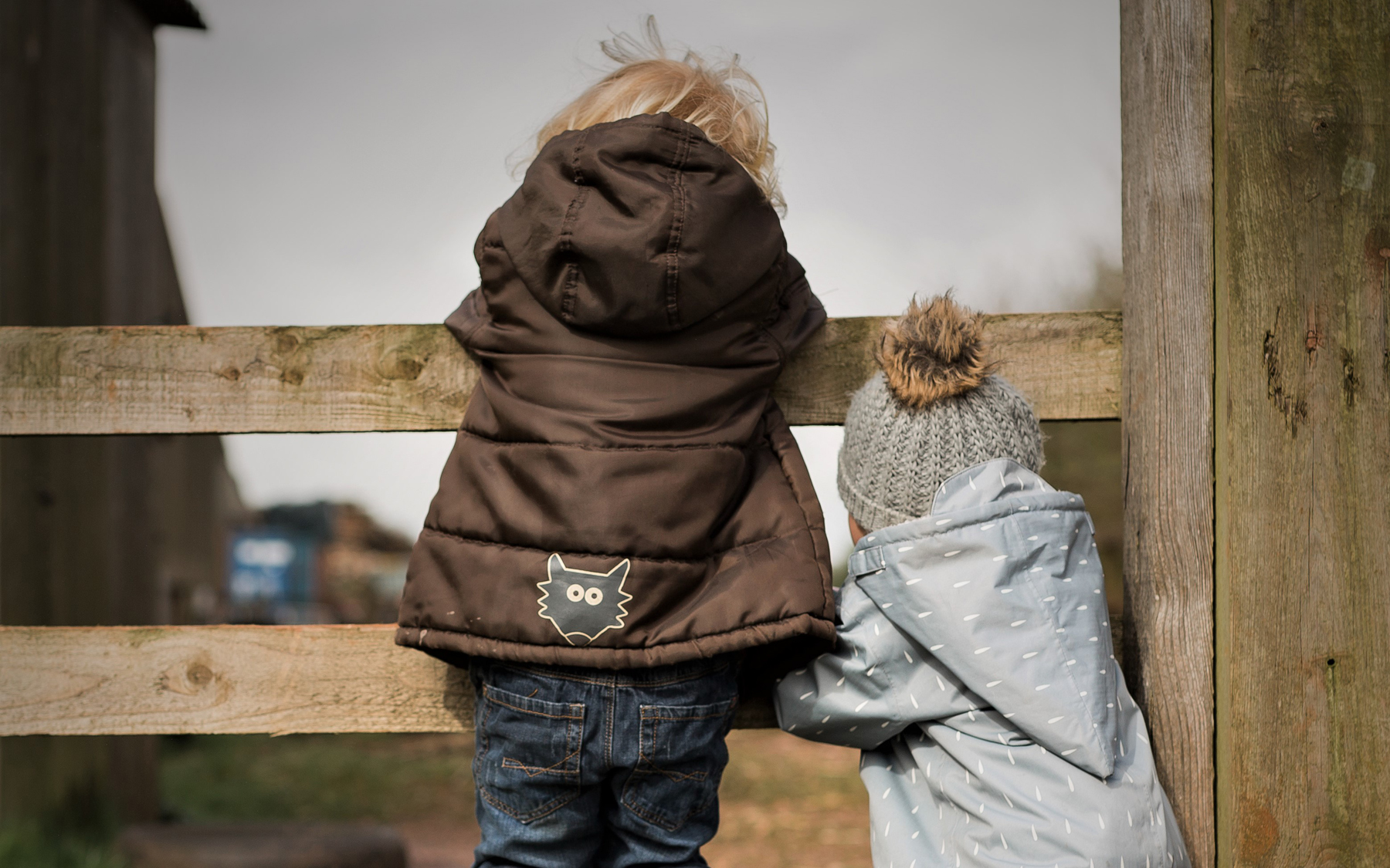 Toddlers at Occombe Farm