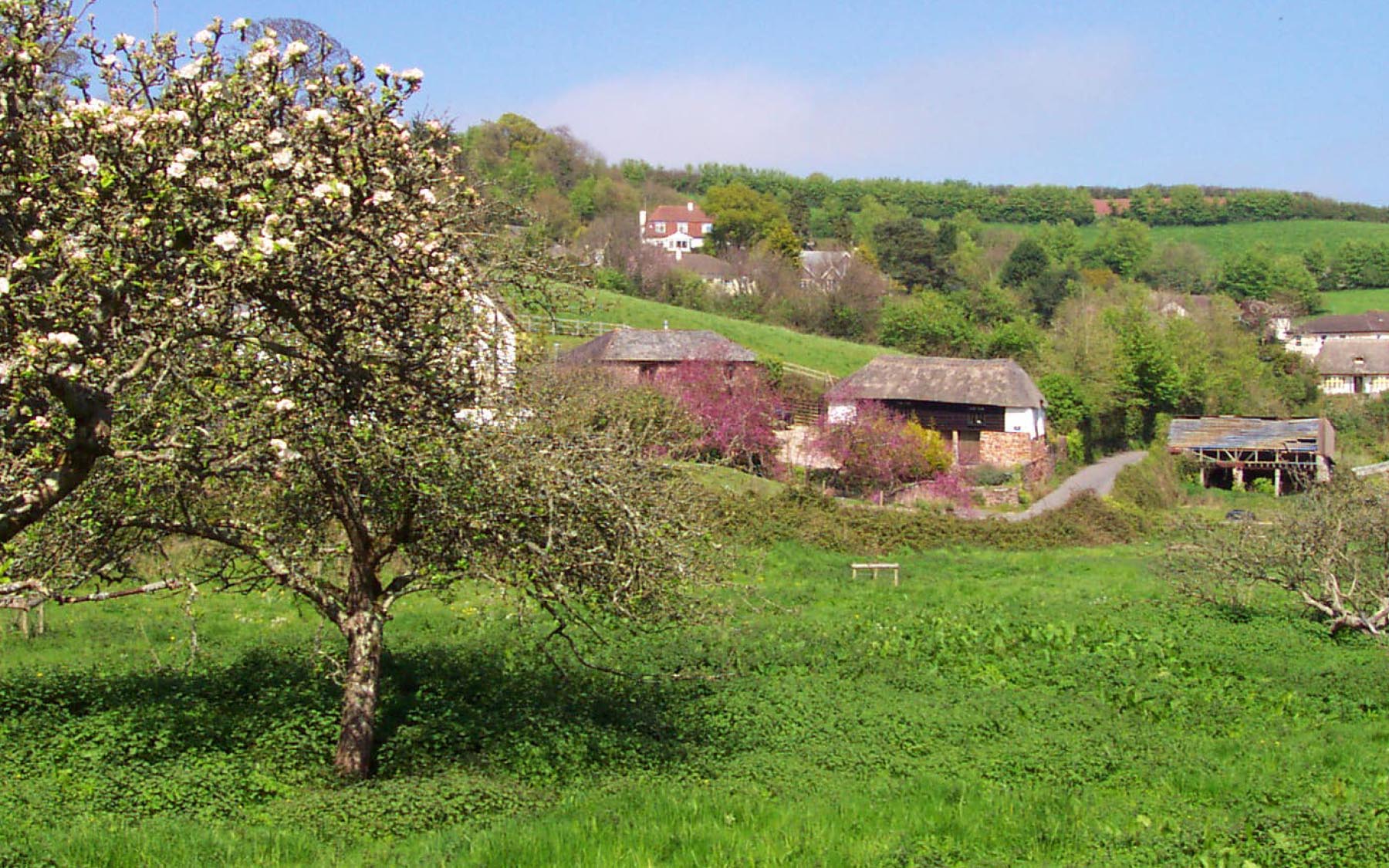 Cockington